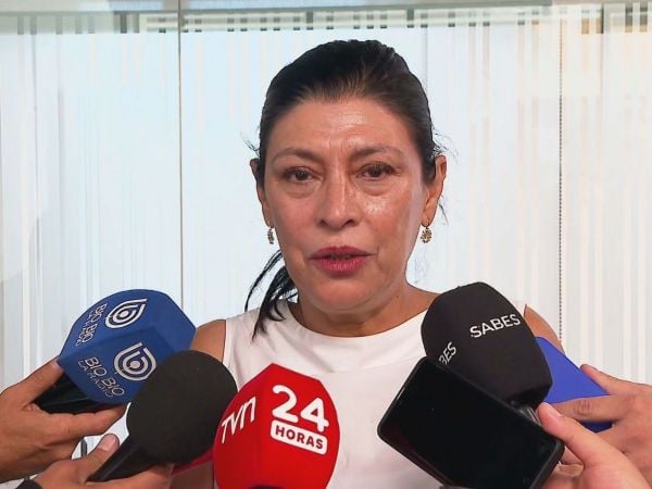 Directora del Serviu del Biobío, María Luz Gajardo.