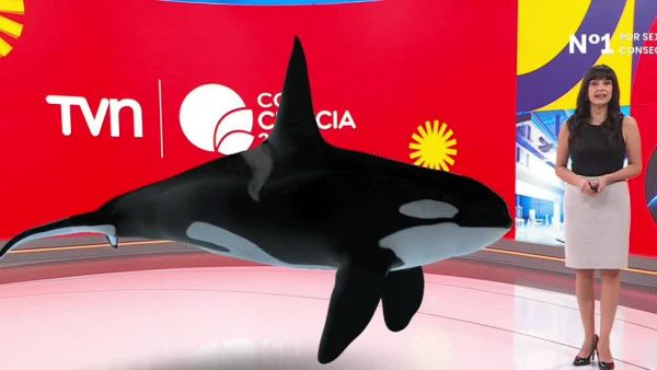 Revivamos Conciencia 24.7: 13 de marzo