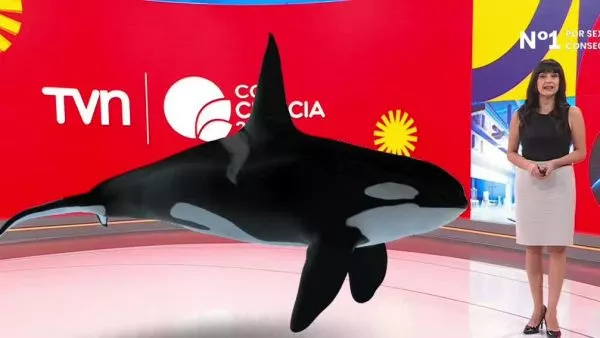 Revivamos Conciencia 24.7: 13 de marzo