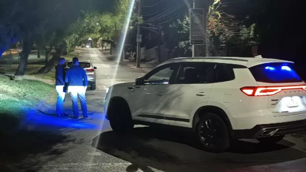 FUNCIONARIO DE PDI FRUSTRA ROBO DE VEHICULO EN PUENTE ALTO