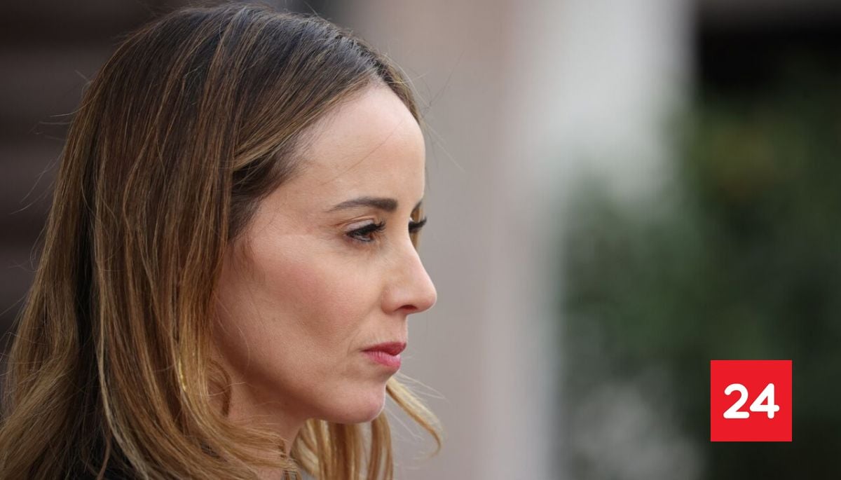 Sedini respalda definición de "Gobierno de emergencia" de Kast: "Chile merece algo distinto"