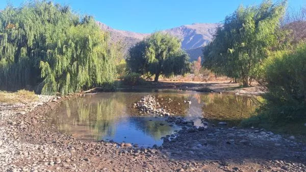 PDI encuentra cuerpo de joven desaparecida en febrero