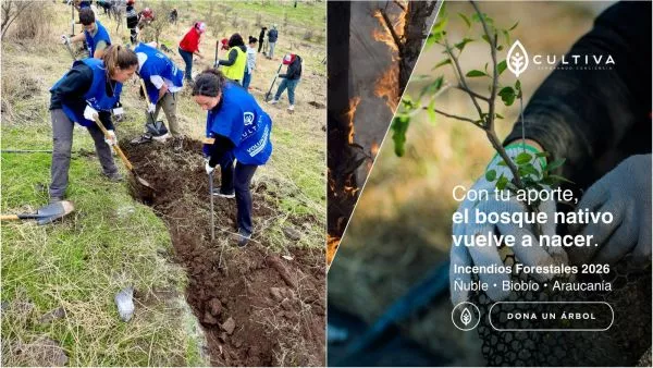 Campaña busca reforestar zonas afectadas por incendios