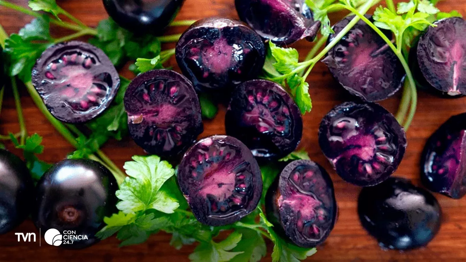 Tomate morado: el avance biotecnológico que se gana el mundo.