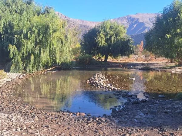 PDI encuentra cuerpo de joven desaparecida en febrero