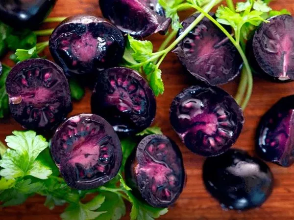 Tomate morado: el avance biotecnológico que se gana el mundo.