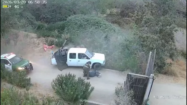 sujetos simularon ser trabajadores para robar bodega en Paine.