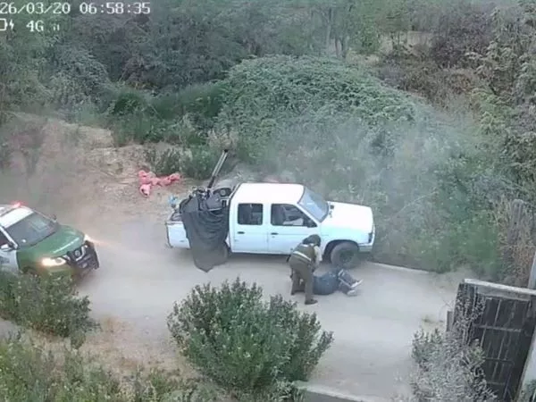 sujetos simularon ser trabajadores para robar bodega en Paine.