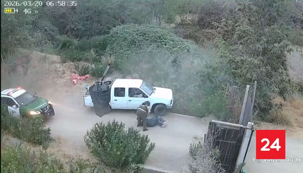 VIDEO: sujetos simularon ser trabajadores para robar bodega en Paine