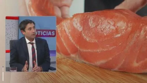 salmones ONG Noruega