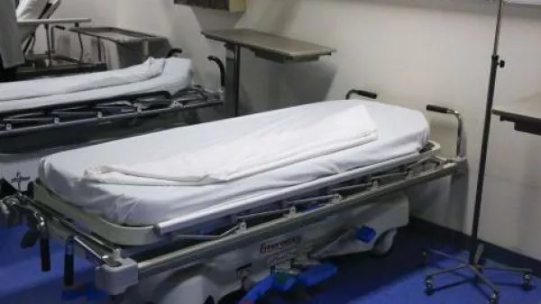 renuncia directora salud viña