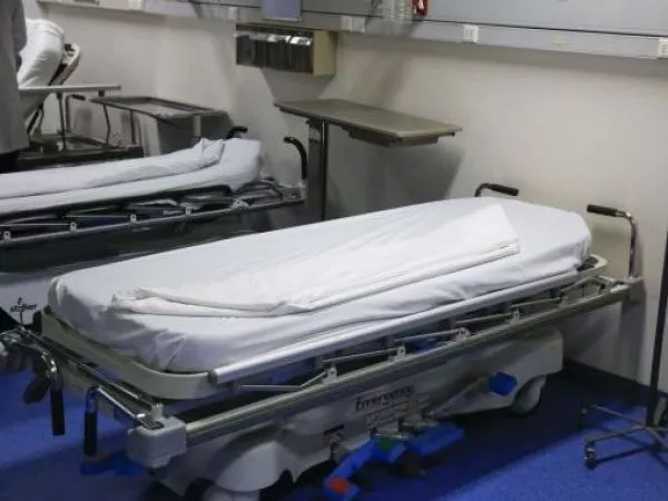 renuncia directora salud viña