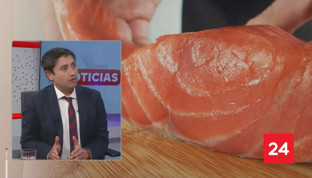 Senador Calisto y reportaje sobre salmones y aportes noruegos en el sur: “Las ONGs actúan deteniendo actividades productivas muy importantes”