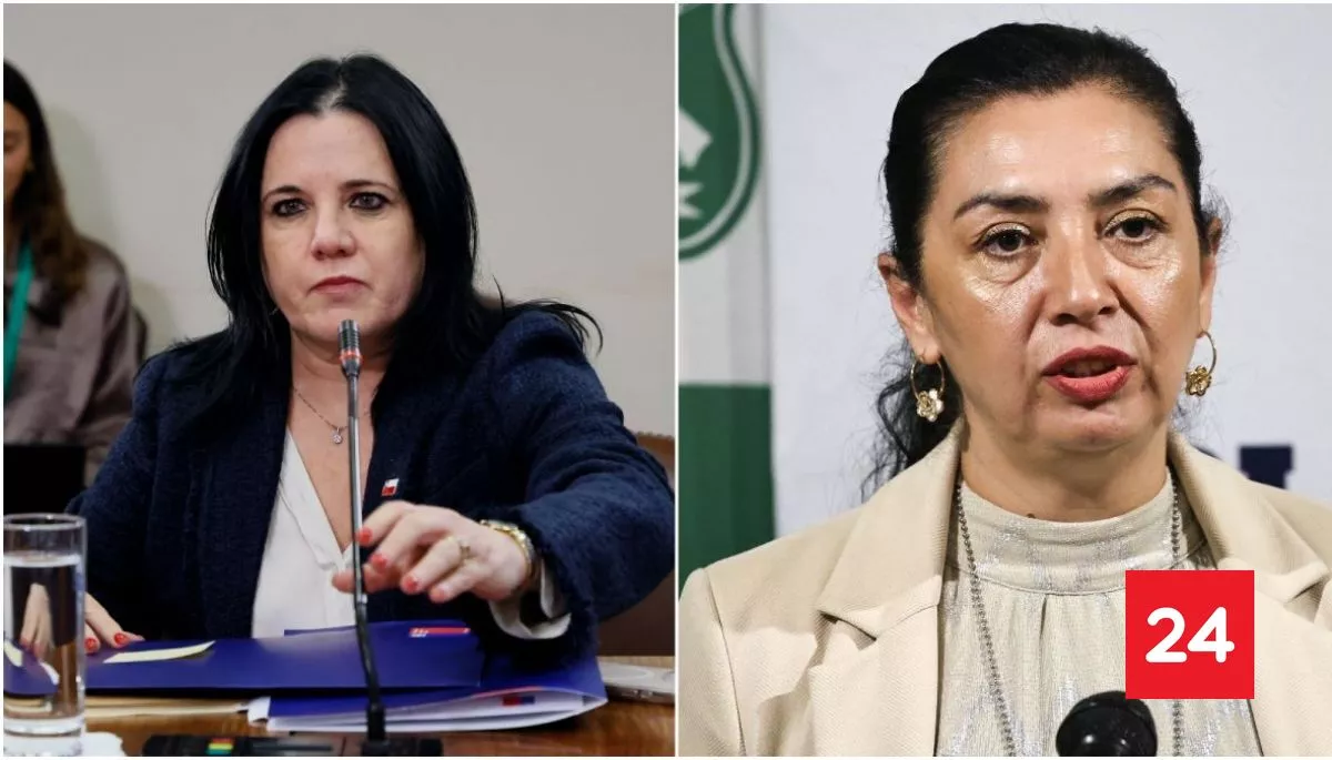 Ministra Steinert pidió renuncia de la subdirectora de PDI: oficio por caso "Clan Chen" gatilló la salida