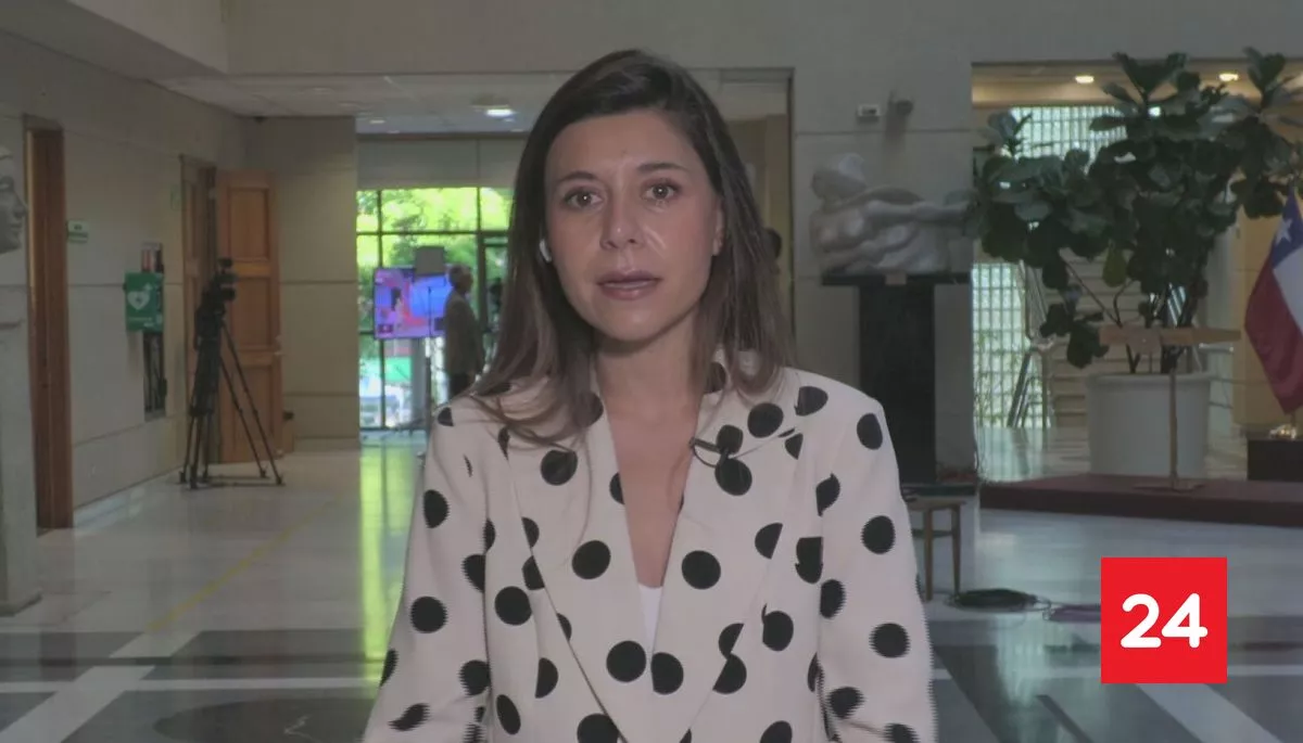 #Política 

Cicardini y por candidatura de Bachelet: 