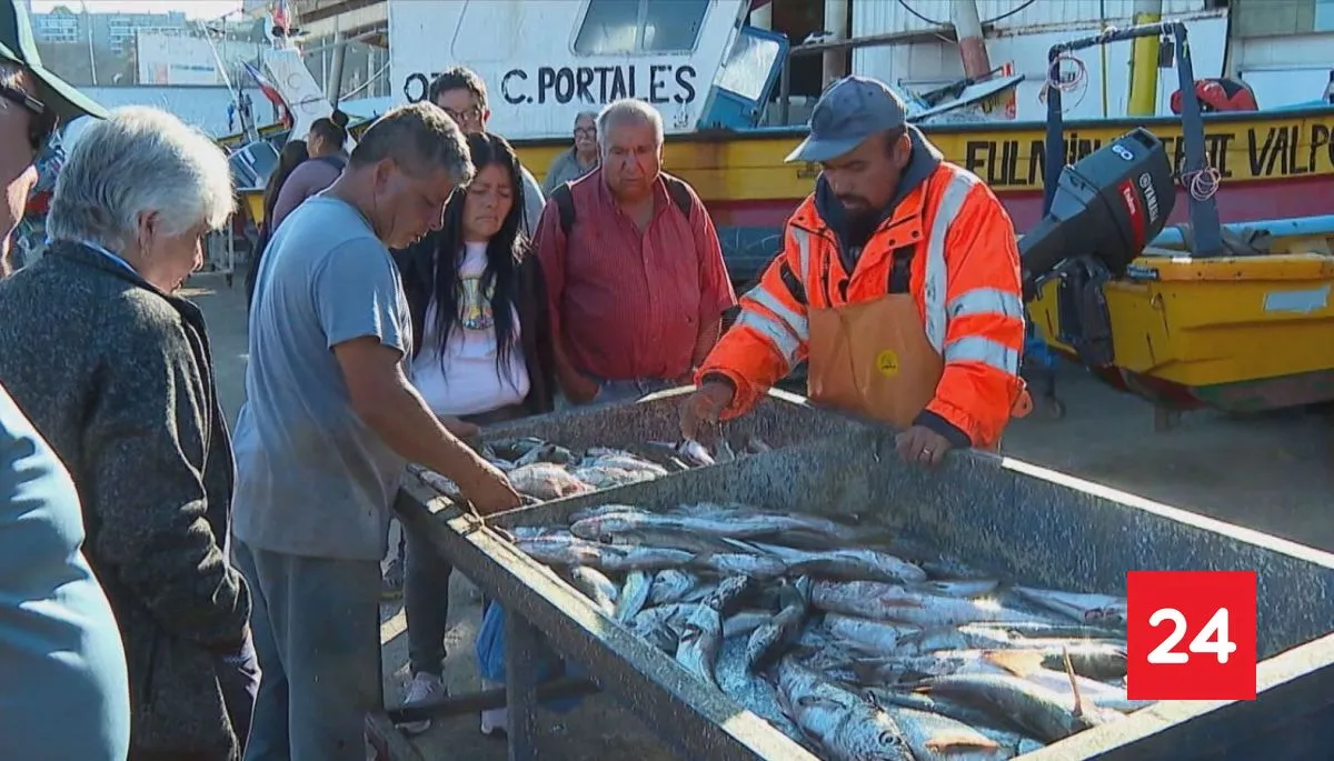 #Nacional 

Gobierno anunció el retiro de tramitación en el Congreso de la Ley de Pesca 

Más detalles ⬇️