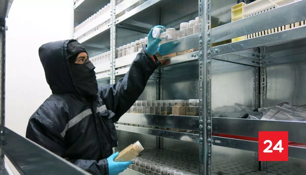 #Entrevistas24

Frente al cambio climático: cómo funciona la bóveda de semillas ubicada en el norte del país

Más detalles⬇️