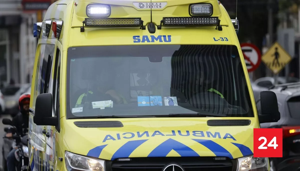 Menor de 7 años falleció por Hantavirus en Valparaíso: descartan nuevos casos