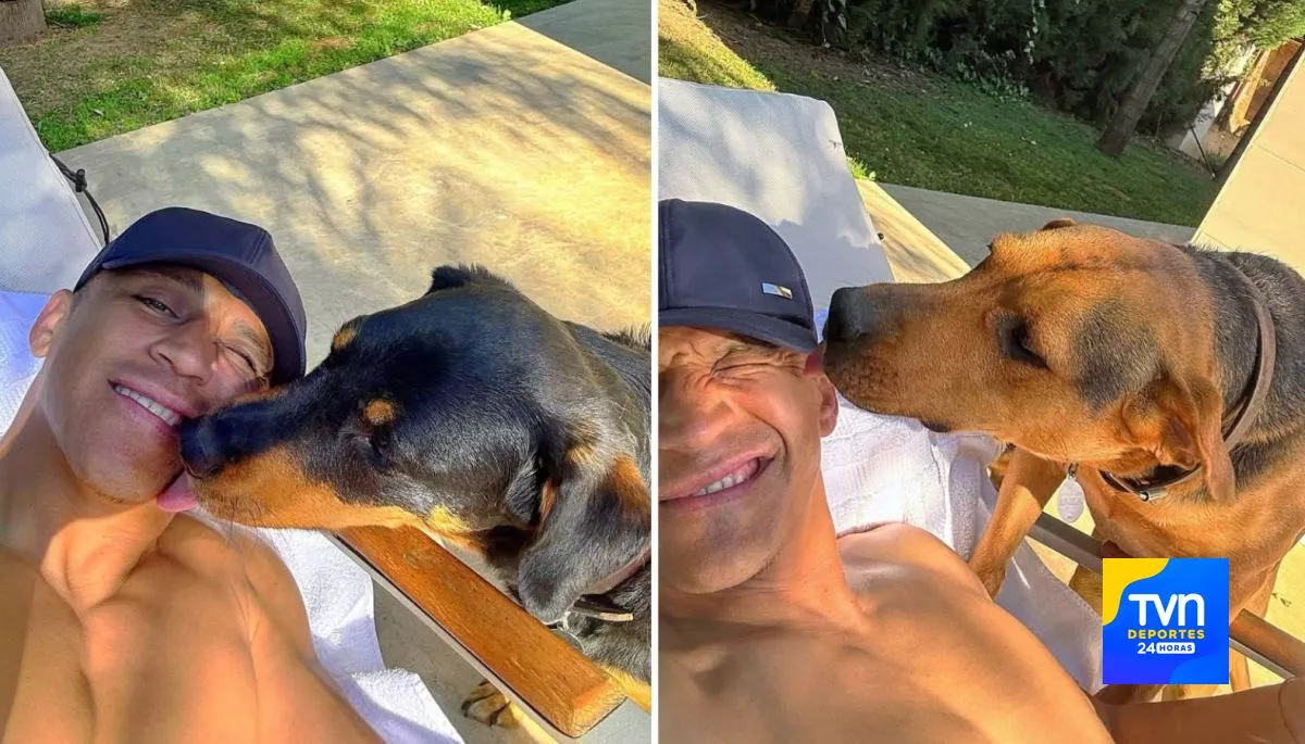 "Los cuidas mucho": Alexis Sánchez comparte video de sus perros y todos se fijaron en el mismo detalle