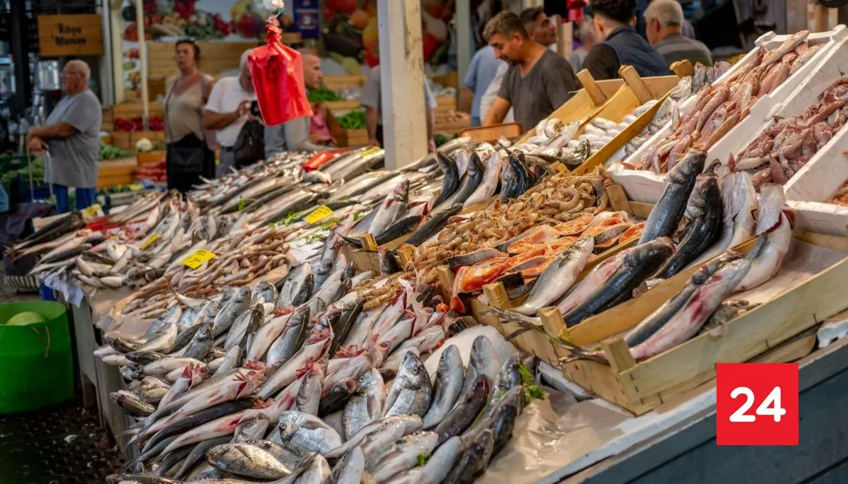 ❗ #TeSirve

Semana Santa: claves para comprar pescados y mariscos de forma segura y con calidad

Más detalles⬇️