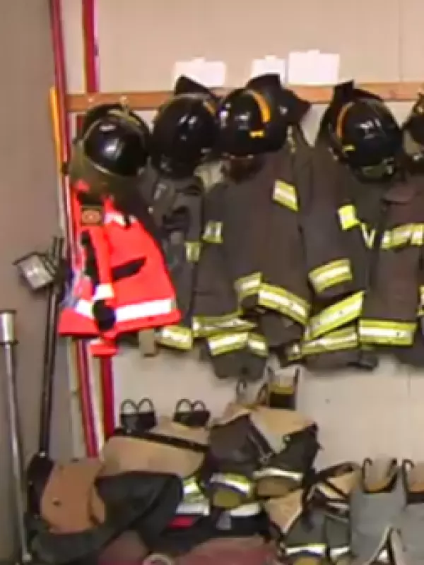 Depredadores en el cuartel