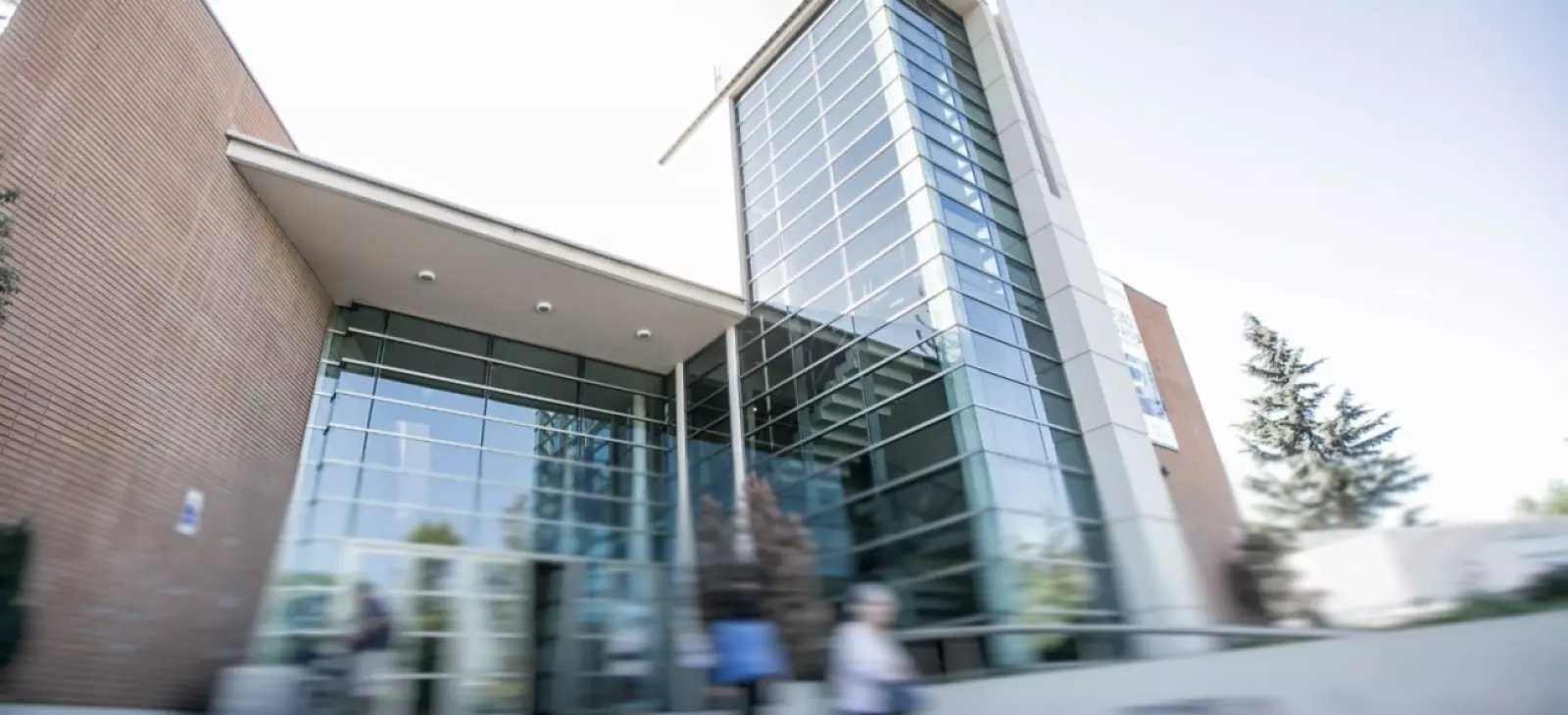 Contraloría ordena sumario en Lo Barnechea por anomalías en uso y almacenamiento de test de drogas