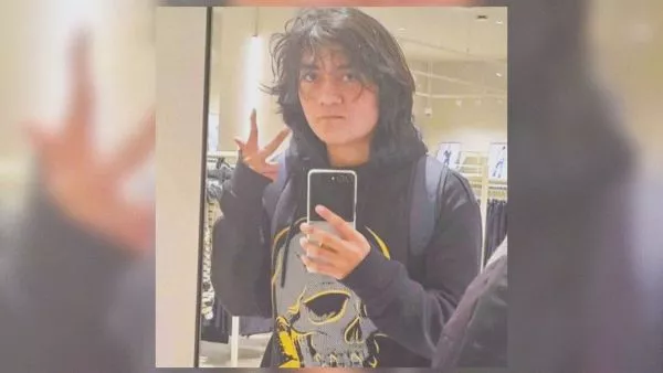 Hernán Meneses Leal buscó en internet casos anteriores de violencia escolar