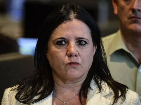 Steinert anuncia proyecto que agrava penas por violencia en colegios.