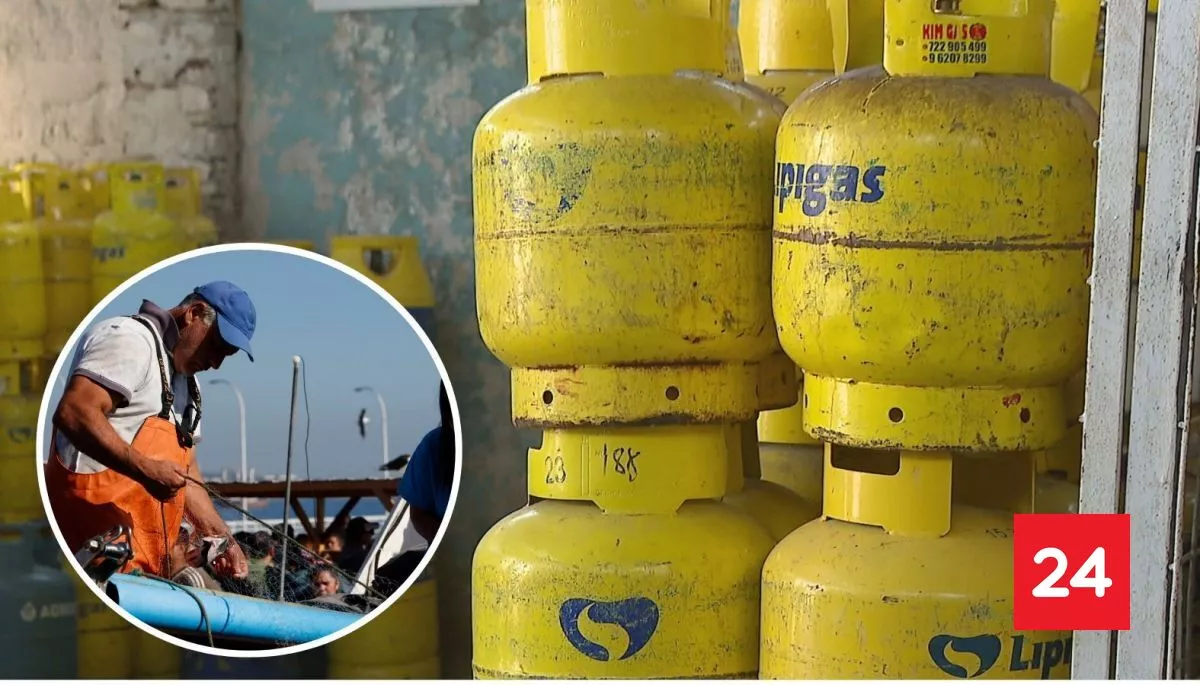 ❗ #TeSirve 

Un balón de gas por familia: ¿cómo acceder a los beneficios anunciados por el Presidente Kast?

Más detalles ⬇