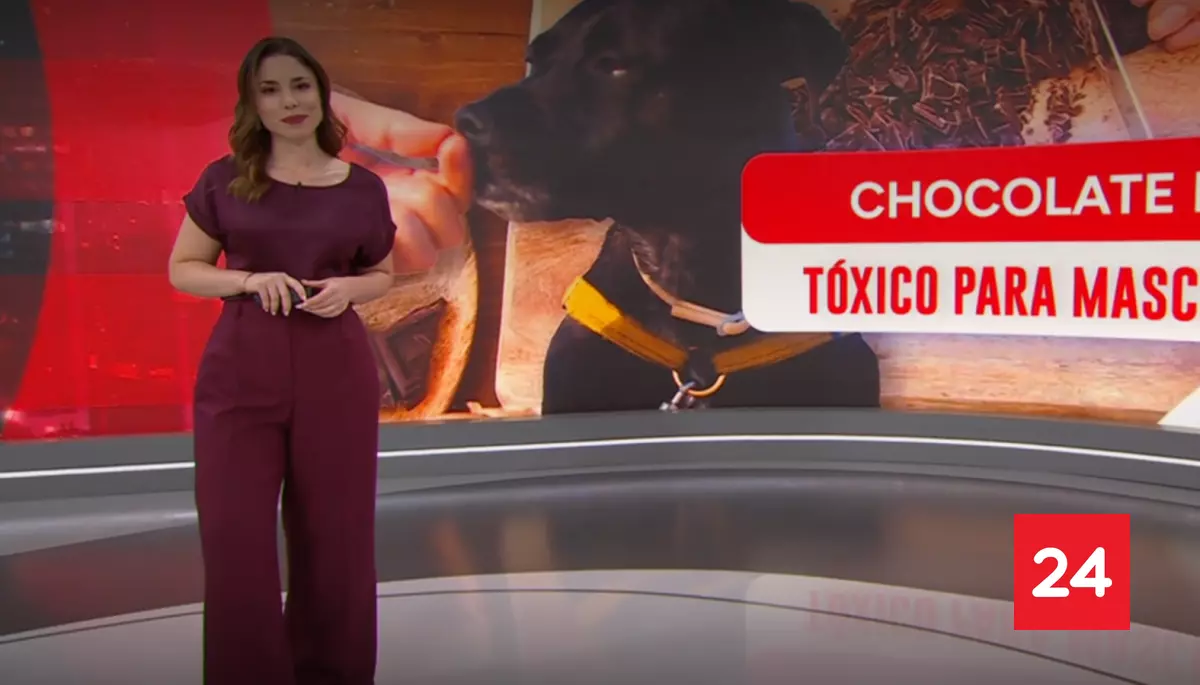 #24HorasCentral 

24 Horas Central - Sábado 4 de abril 2026

Más detalles⬇️