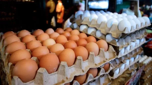 Precio del huevo subiría en torno al 10%