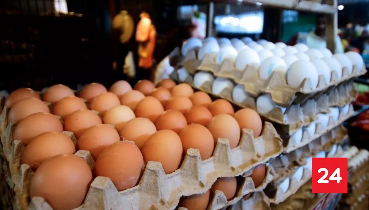 #Economía 

Conflicto en Irán golpea a las mesas chilenas: precio del huevo tendría alza inmediata cercana al 10%

Más detalles ⬇