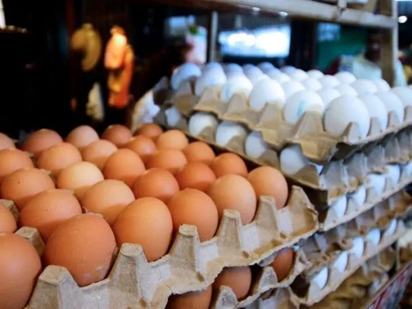 Precio del huevo subiría en torno al 10%