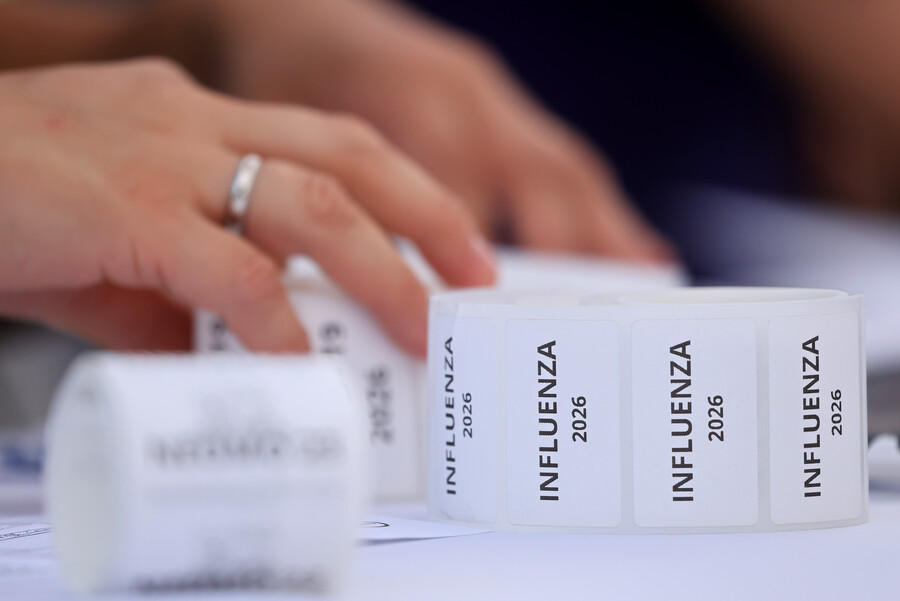 vacuna influenza