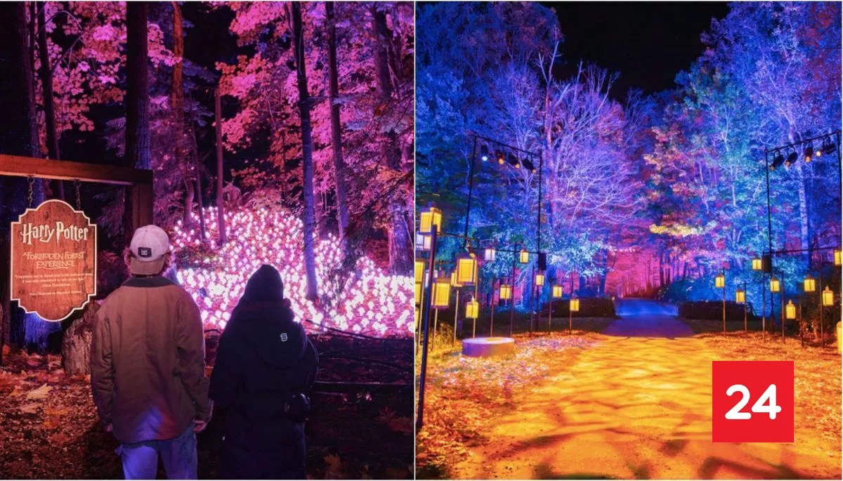 "El Bosque Prohibido" de Harry Potter llega por primera vez a Chile: cómo comprar entradas