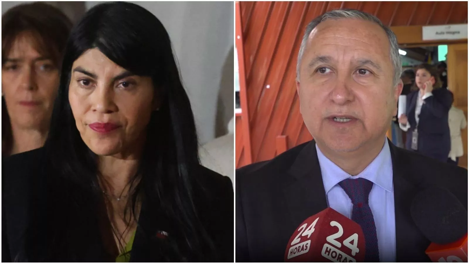 rector U. Austral responde a críticas tras agresión a Lincolao