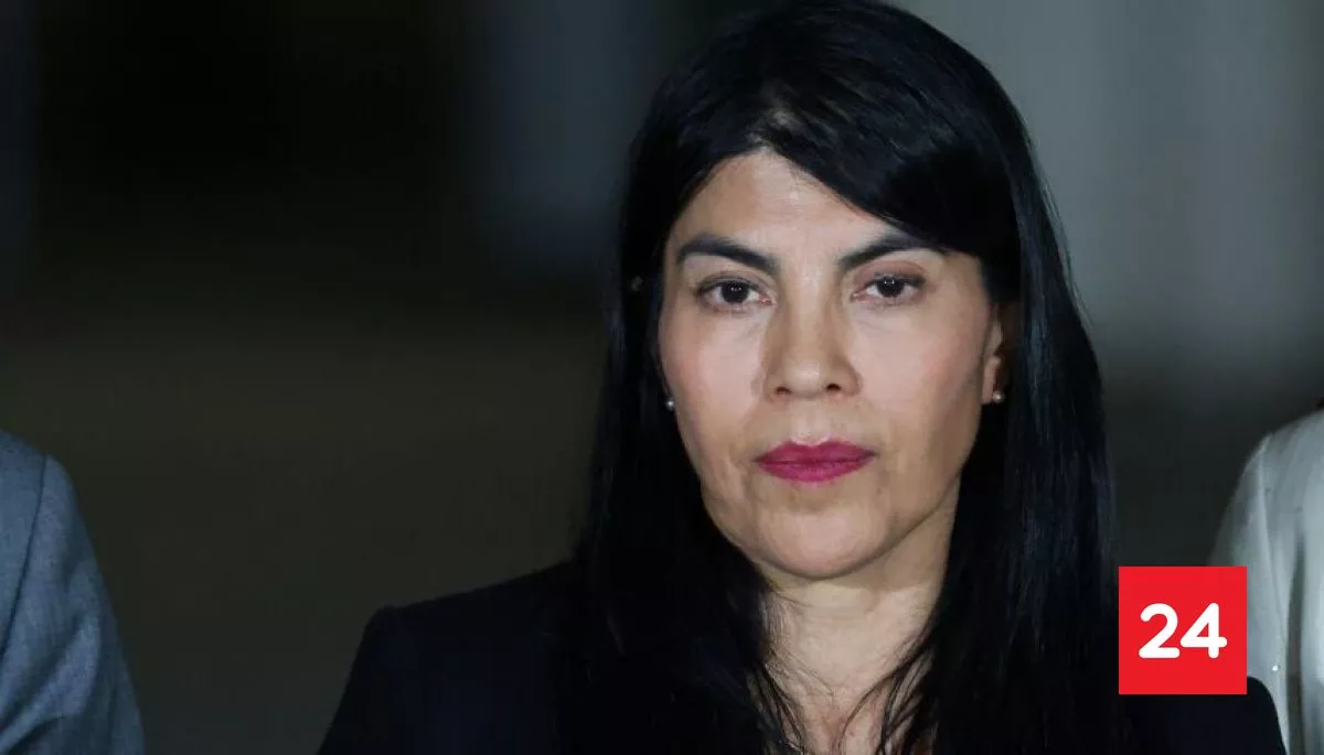 Gobierno identifica a tres "líderes de mayor participación" en agresión a ministra Lincolao