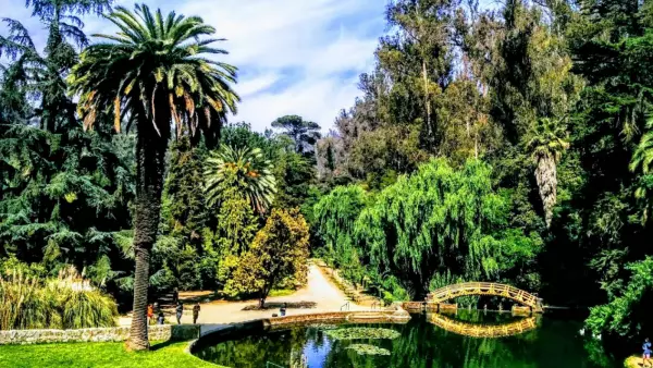 SAG confirma caso de gripe aviar en Jardín Botánico Nacional de Viña del Mar