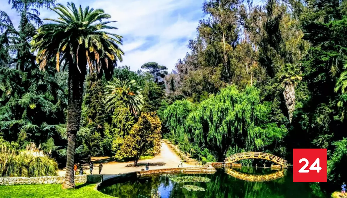 SAG confirma caso de gripe aviar en Jardín Botánico Nacional de Viña del Mar