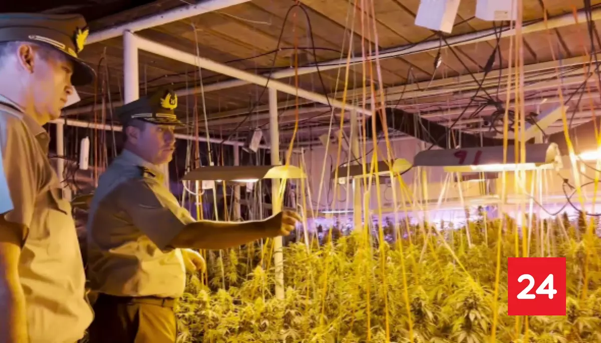 Banda delictual china arriesga 45 años de cárcel