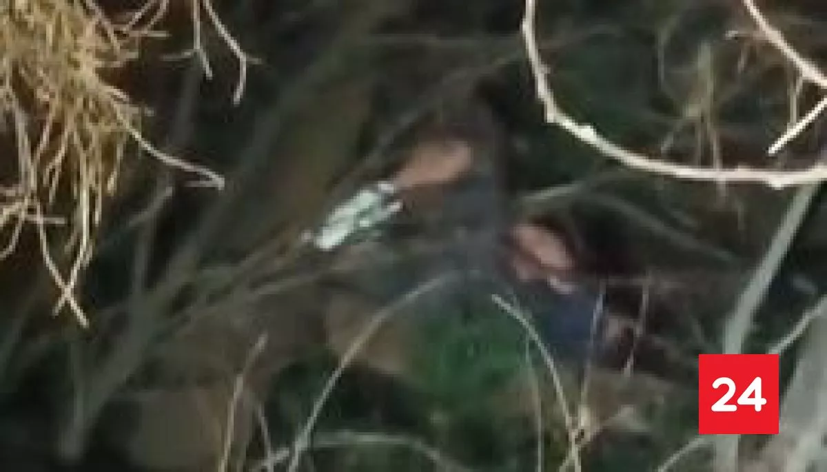 #Regiones

Delincuente se escondió en un  árbol, pero un estornudo lo delató 
 
Más detalles ⬇️