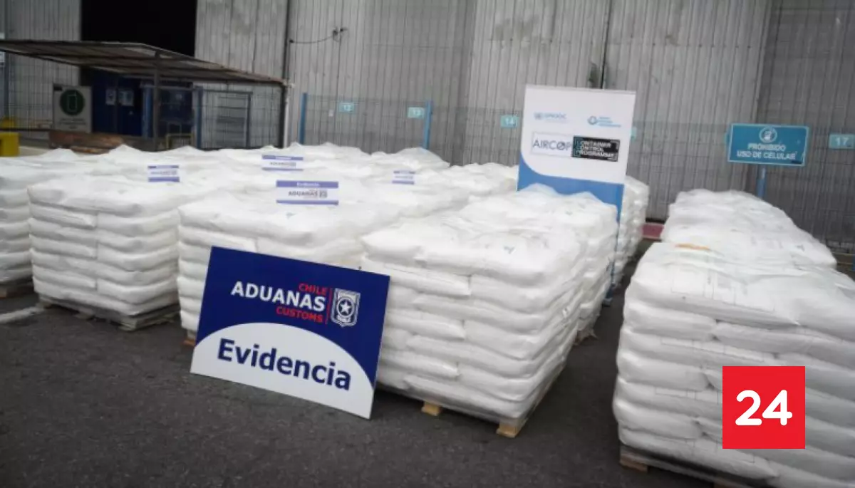 #Regiones 

Incautan más de 35 toneladas de cloruro de calcio con 96% de pureza en San Antonio

Más detalles ⬇️