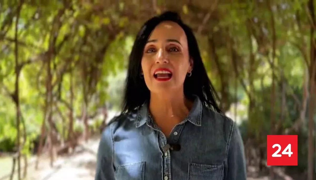 Cartelera 24 - Sábado 11 de abril 2026