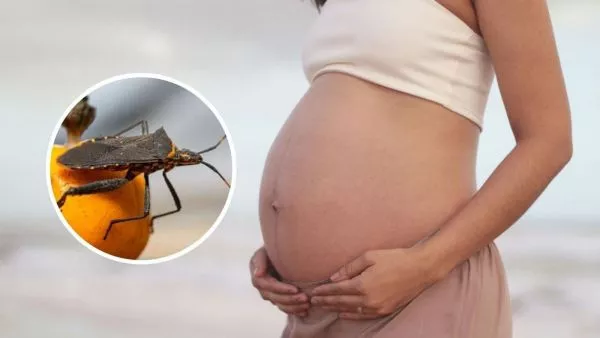 Día Mundial de la Enfermedad de Chagas
