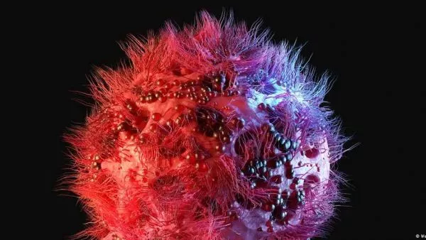 El caso sigue siendo extraordinario y no representa un modelo aplicable a otros pacientes con VIH en el mundo.