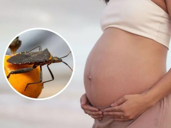 Día Mundial de la Enfermedad de Chagas