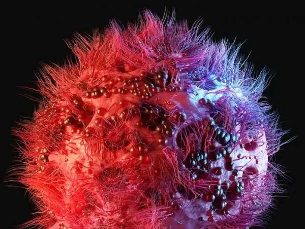 El caso sigue siendo extraordinario y no representa un modelo aplicable a otros pacientes con VIH en el mundo.