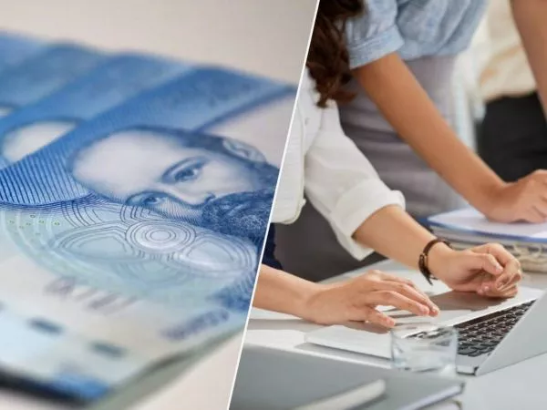 Nuevo Subsidio Unificado al Empleo