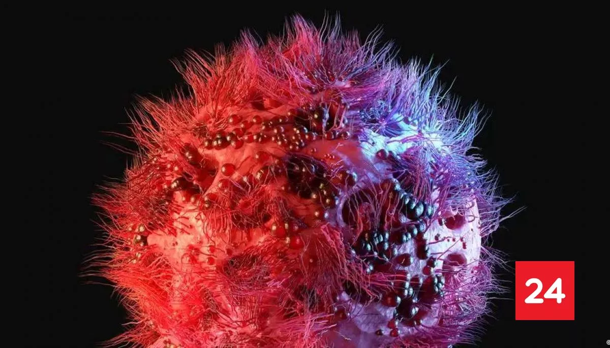 #DeutscheWelle 

Noruego logra remisión de VIH con las células de su hermano

Más detalles ⬇️