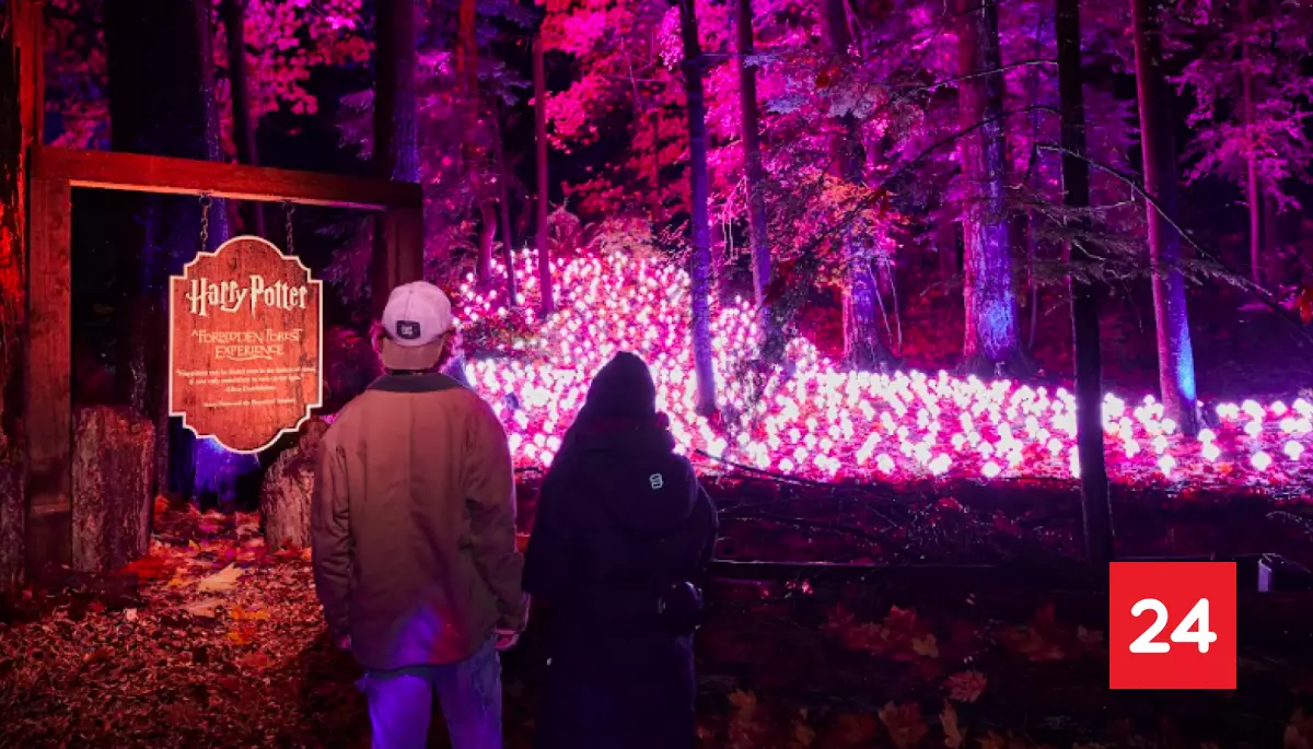 ✨ #Tendencias 

Revelan precios de entradas para 